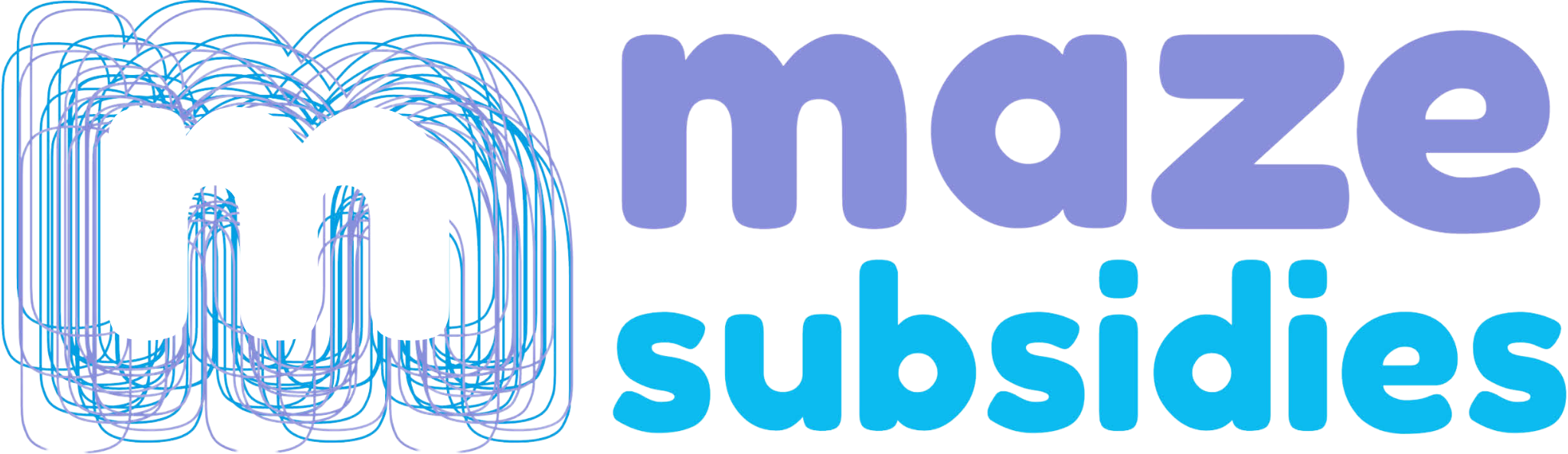 maze subsidies transparant